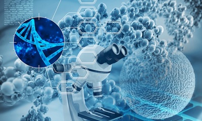 一?？苿摗胺N子”孕出一家“隱形冠軍”